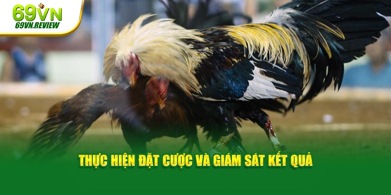 Thực hiện đặt cược và giám sát kết quả